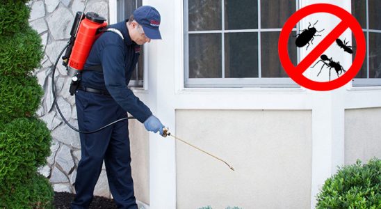 Sarıyer Haşere İlaçlama böcek ilaçlama ve haşere kontrolü — ilaclama-tr.com